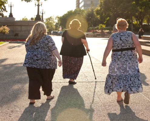 Anti-Obesity Strategy